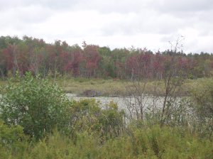 "a pic from my personal retreat"